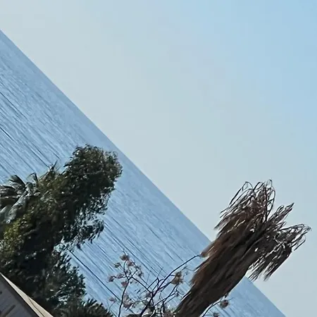 Am